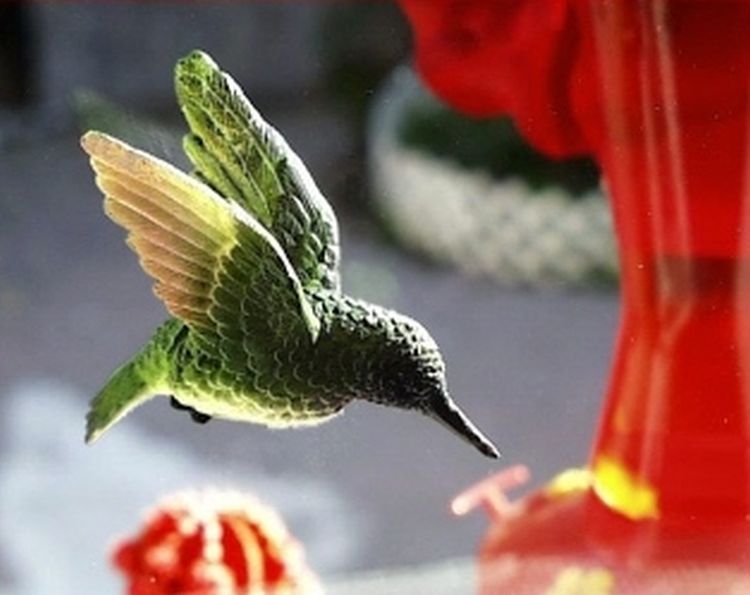 Ruby Throated Hummingbird Fly Through Magnet
